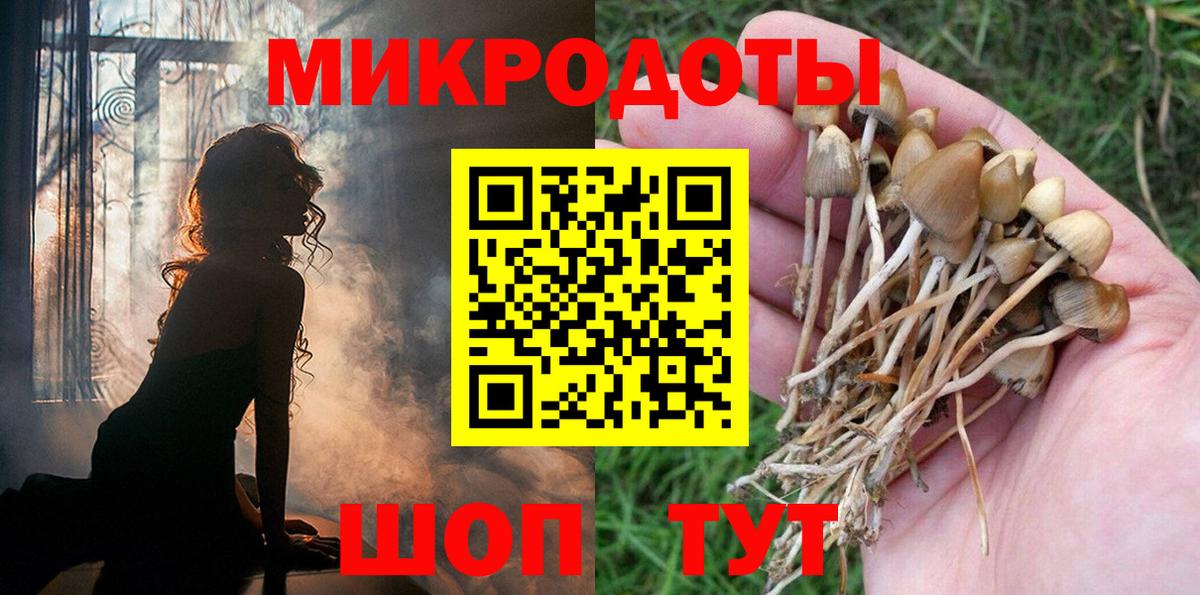 Псилоцибиновые грибы мицелий  Псилоцибиновые грибы Cubensis  Кировск  Вход с VPN 