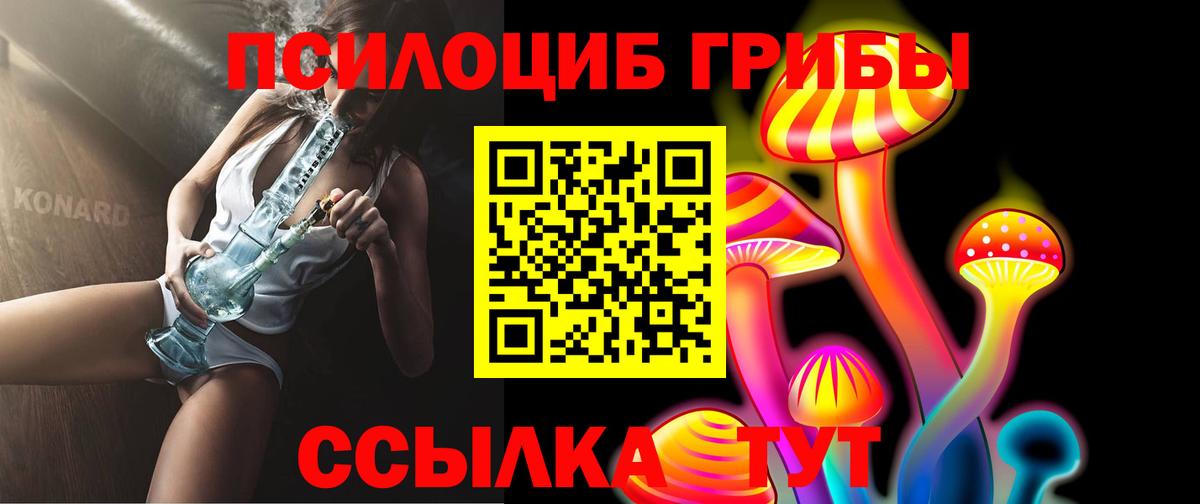 Псилоцибиновые грибы Psilocybine cubensis Кировск